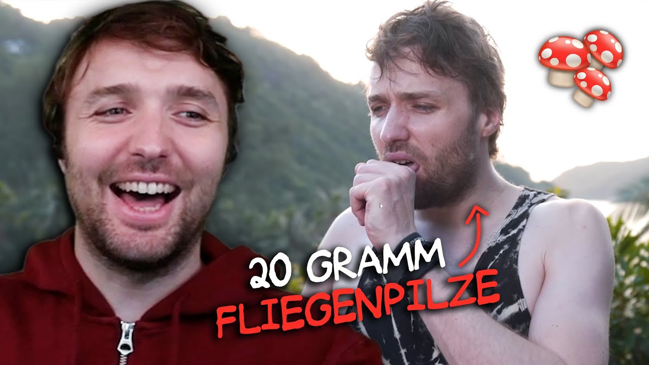 Ich habe Pilze in Thailand genommen!? 🍄🇹🇭 | @fliegenpills - Fliegenpilz Microdosing & mehr Reaction