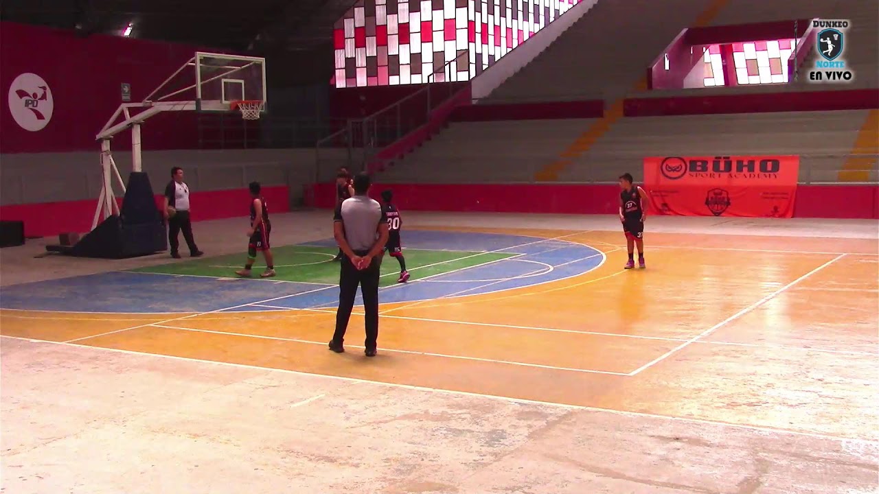 LDMBCH - MAXI BASKET