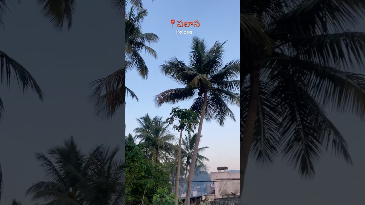 PALASA - Hidden Coastal Gem of Andhra Pradesh🌾 