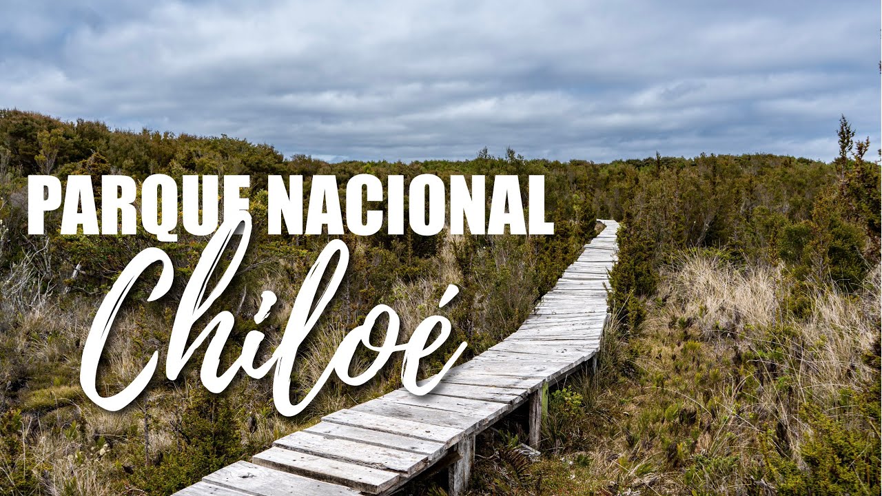 🌿 ¡Explorando el PARQUE NACIONAL DE CHILOÉ! 🦆🍃 | [T1 - C2]
