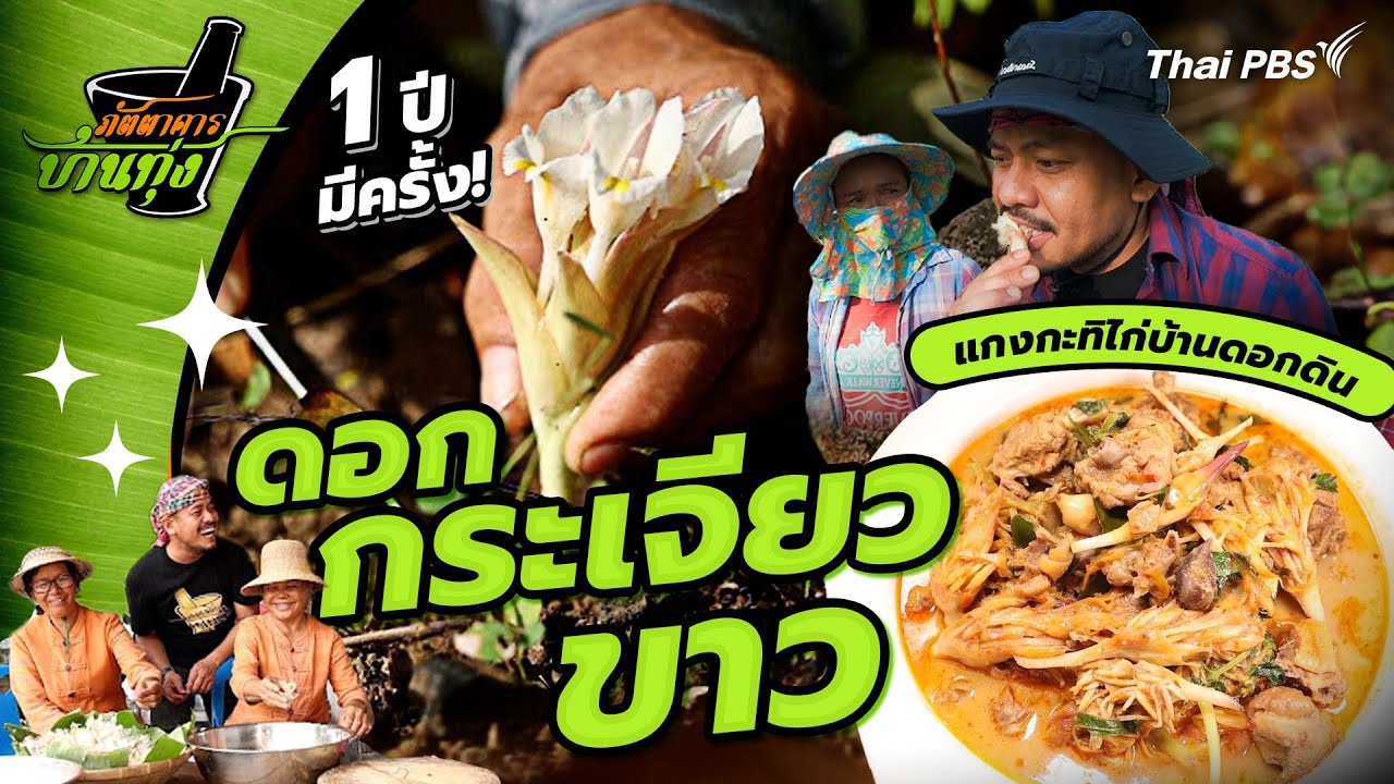 ดอกกระเจียวขาว | ภัตตาคารบ้านทุ่ง