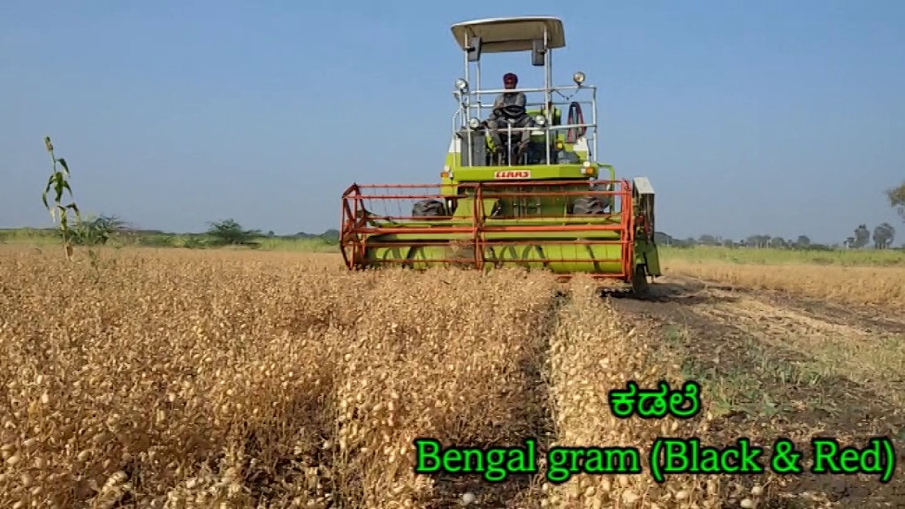 CLAAS CROP TIGER 40 Wheel Multicrop