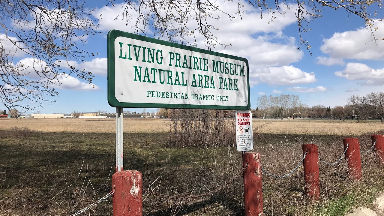 A look at the Living Prairie Museum
