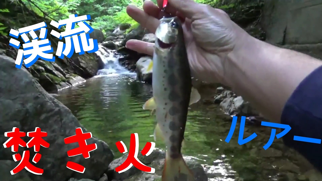 渓流で釣った魚を焚き火で焼いて食べる。サバイバル的な休日