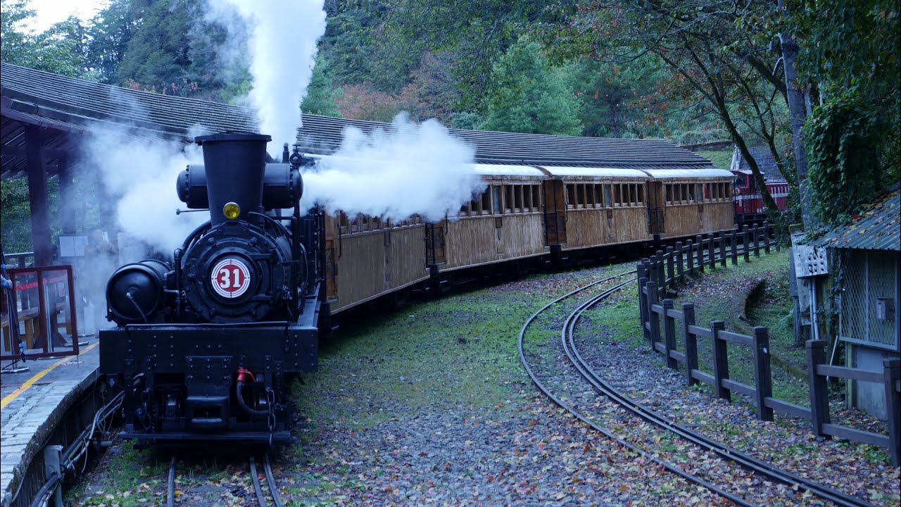 阿里山SL-31百年蒸汽火車檜木車廂懷舊之旅 SL-31 steam train in Alishan #taiwan #steamtrain #hinoki
