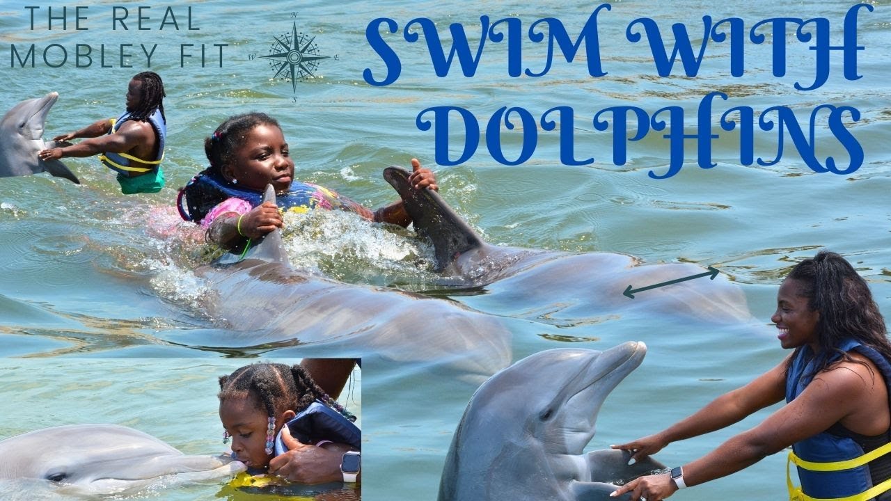 SWIMMING WITH DOLPHINS FLORIDA KEYS