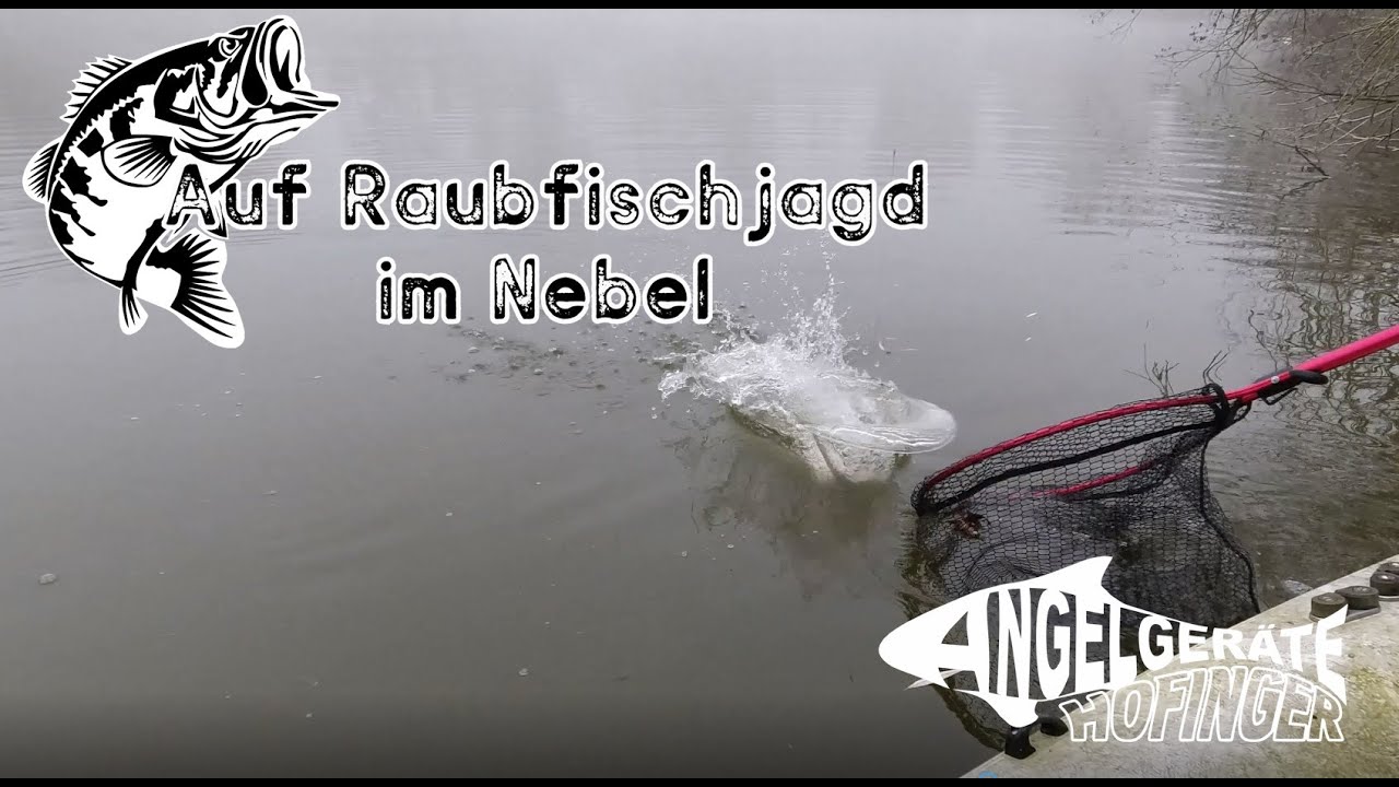 Auf Raubfischjagd im Nebel [Zander und Hecht] Angelger&auml;te Hofinger