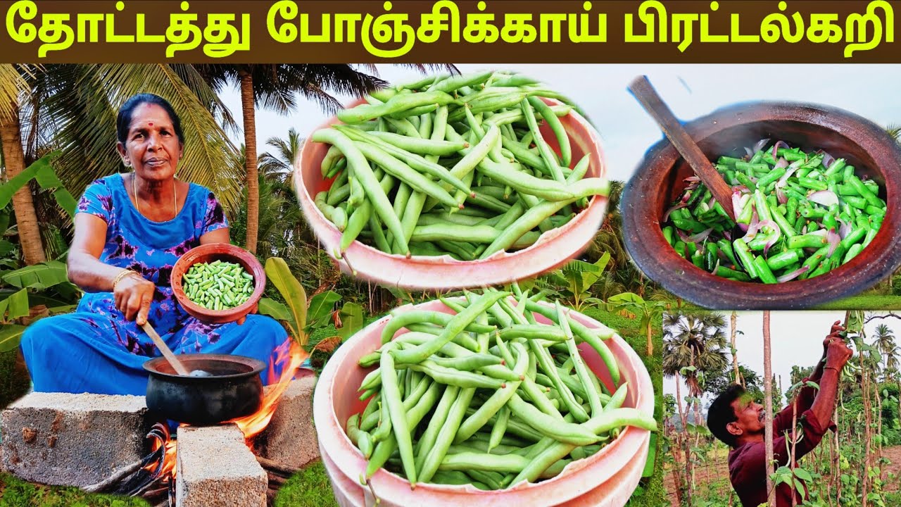 தோட்டத்து சுவையை மிஞ்ச எதுவும் இல்லை சுவை சுவை சுவை l village life 💚 vanni bro 