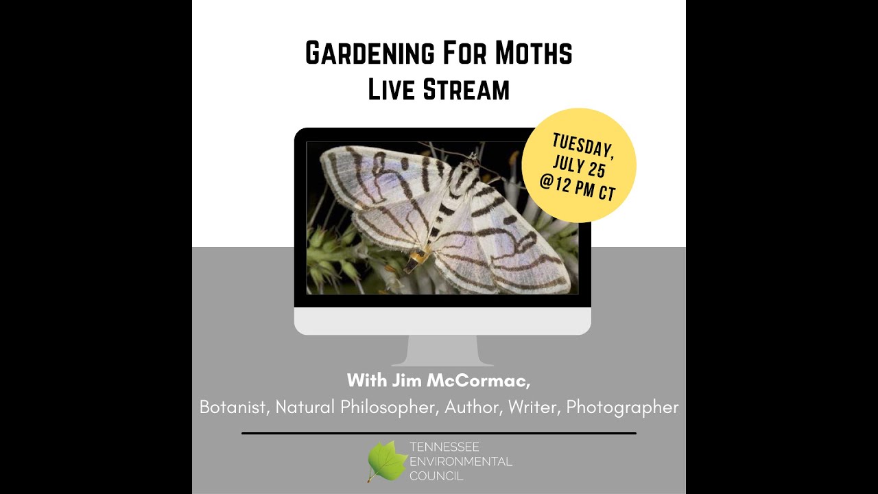 Gardening For Moths With Jim McCormac