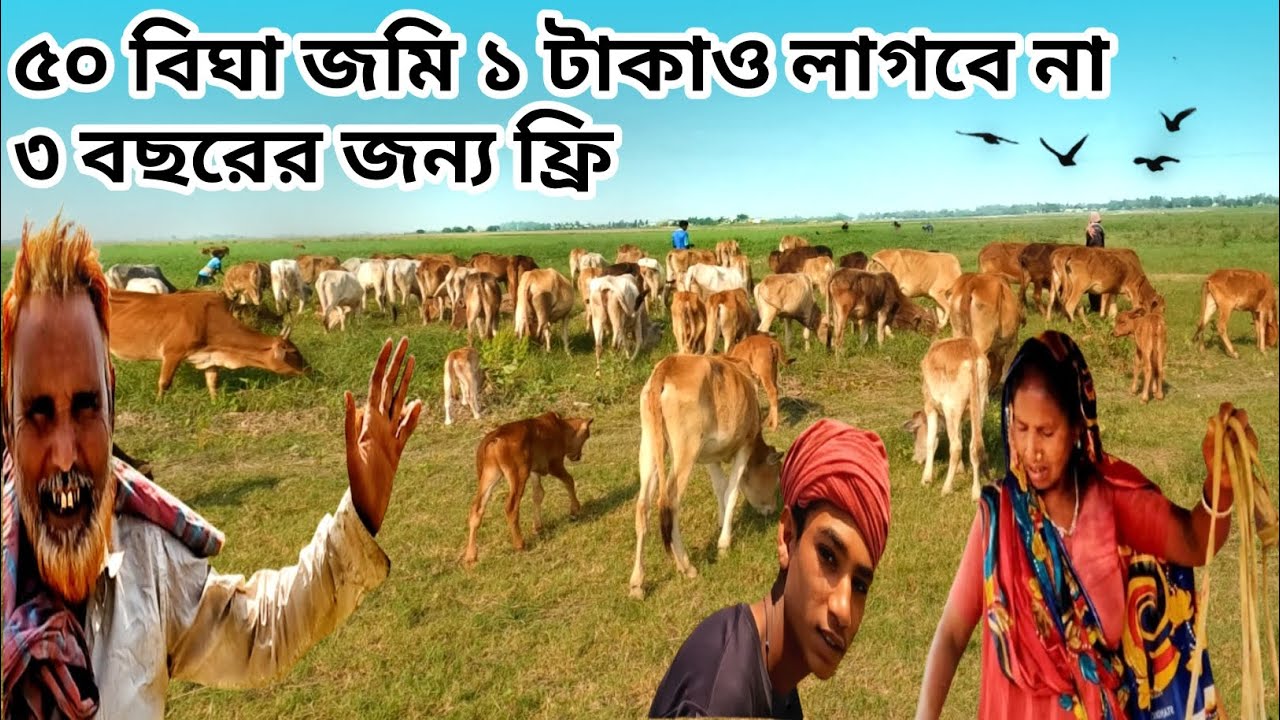 ৫০ বিঘা জমি ১ টাকাও লাগবে না,নিতে পারবেন ৩ বছরের জন্য ফ্রি || @MatiomanushbyRatan |||