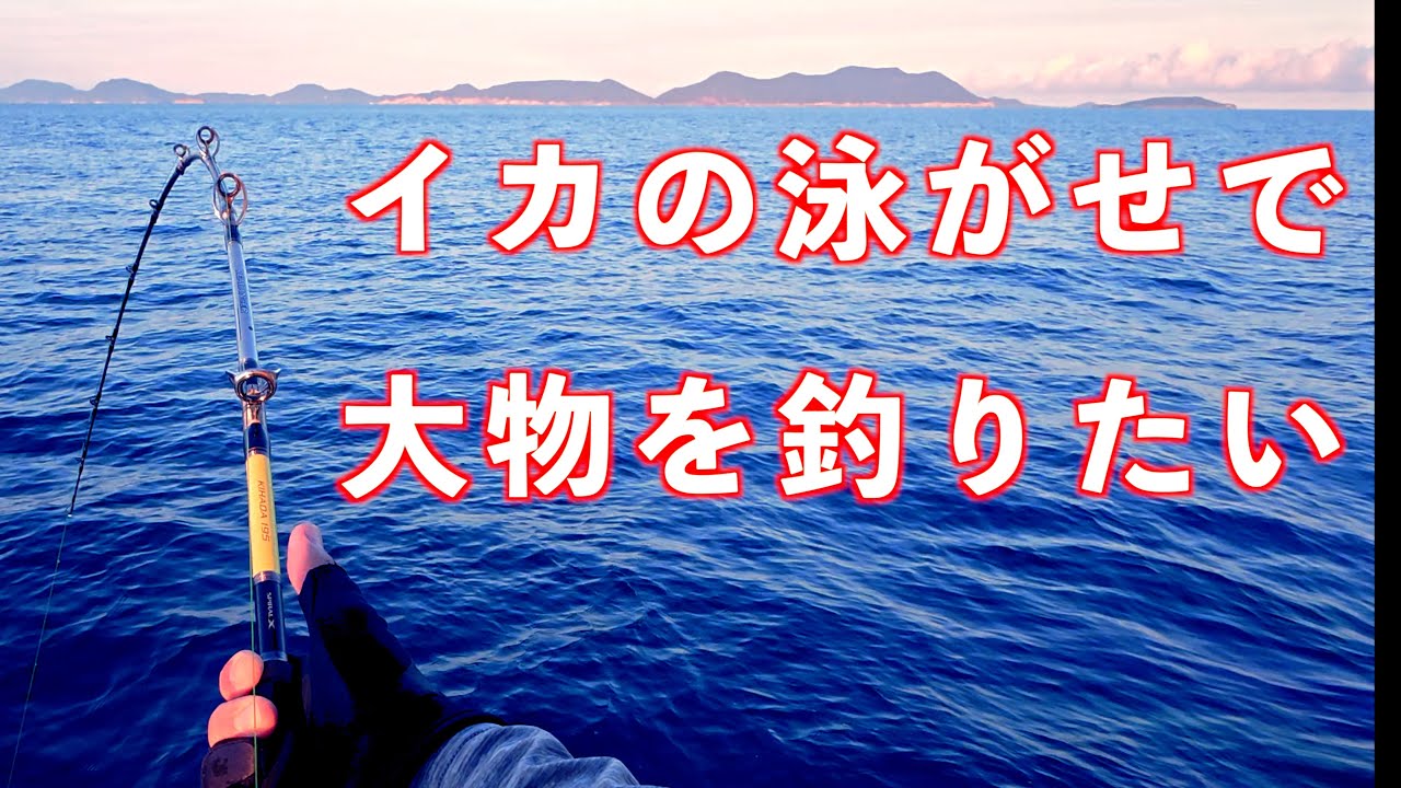 活きイカの泳がせで大物を釣り上げたい！ビギナーアングラーが大物に挑む！