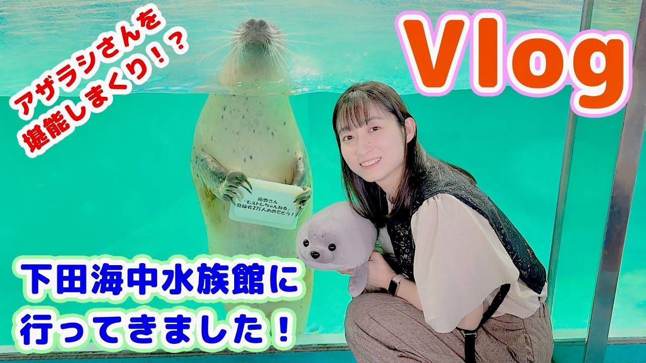 アザラシさんからプレゼントが!? アザラシ尽くしの１日旅🦭✨#水泳 #vlog