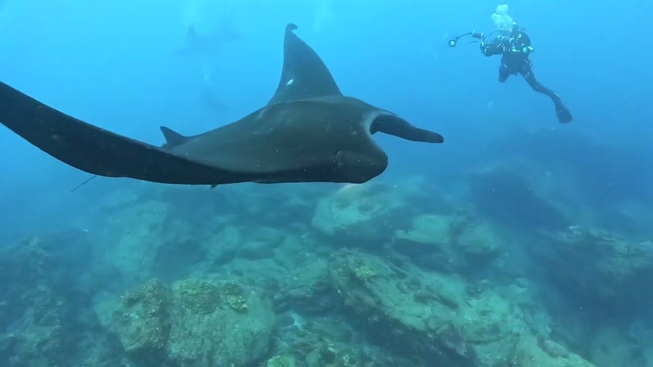 Socorro dive expedition 2025