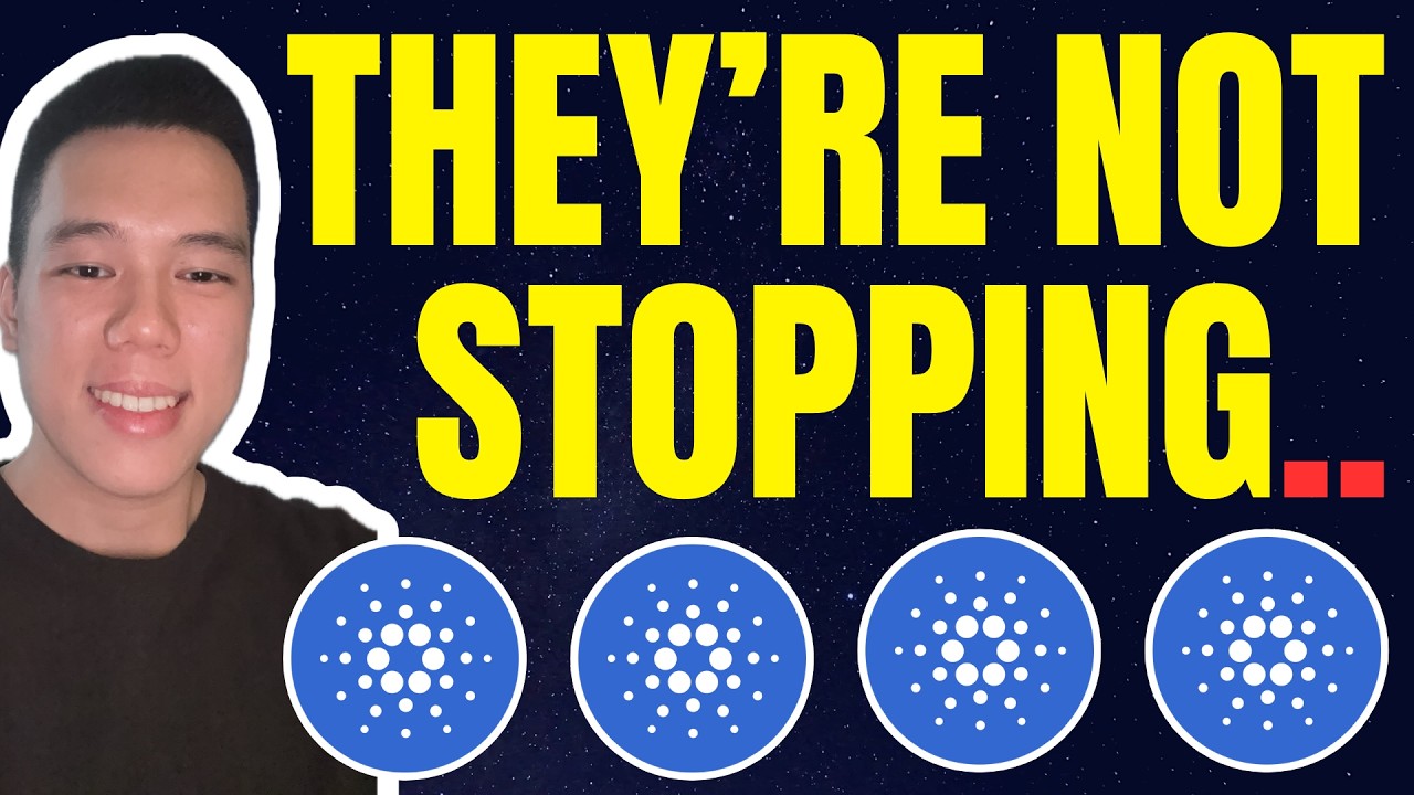 They're Refusing To Stop? Here's What I Realized Lately.. Cardano ADA Review And News