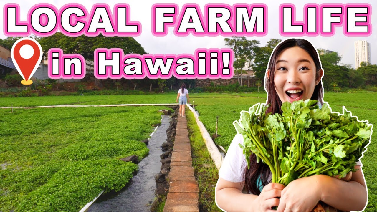 Visiting a Local Farm for a Day! || [Oahu, Hawaii] Iconic 95 Year Old Farm!