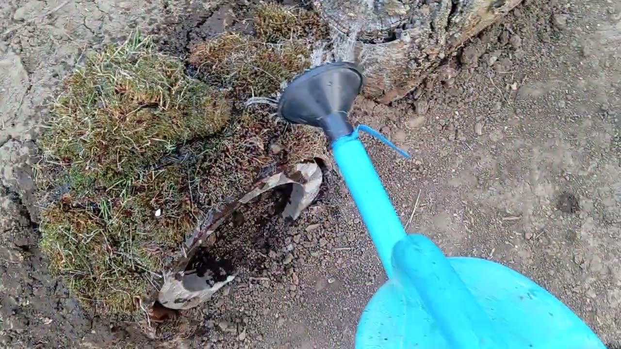 Помила  водойму ,можливо будуть рибки  або черепашка  ,🥰🥰🥰