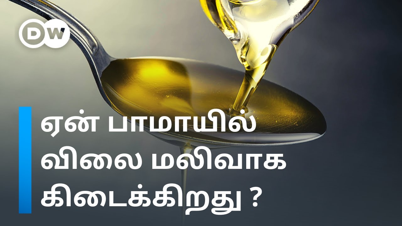 பாமாயில் ஆபத்தானதா?  ஏன் உலகநாடுகளில் இவ்வளவு Demand? | Is Palm oil really good? | DW Tamil |