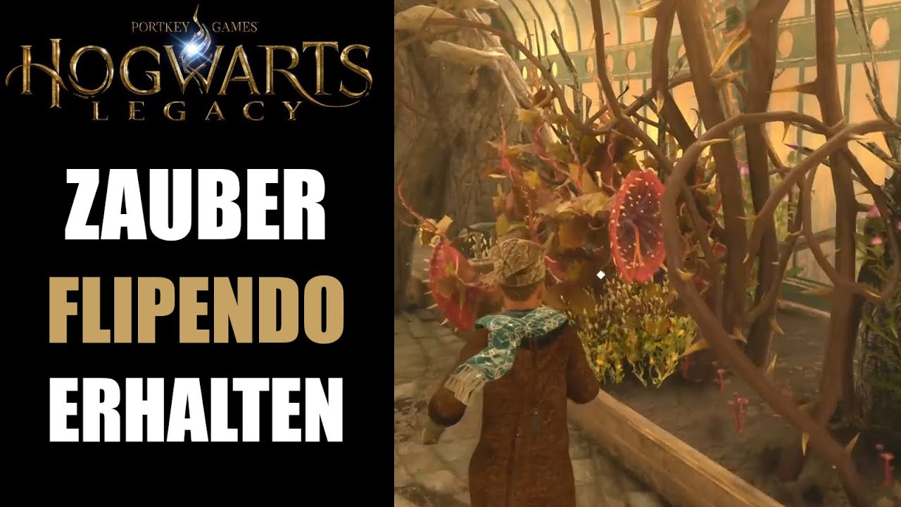 Hogwarts Legacy Flipendo Zauber erhalten - Alraune Tentacula und Kaukohl erhalten