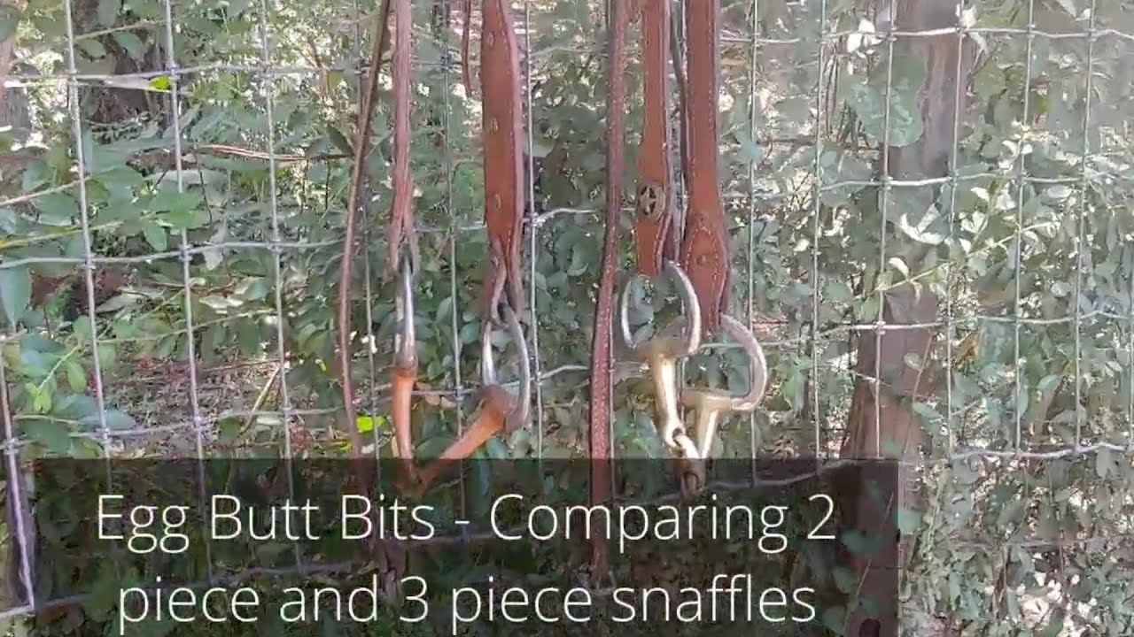 Egg Butt Snaffle Bit Comparison and Testing - Single jointed vs 3 piece Mullen