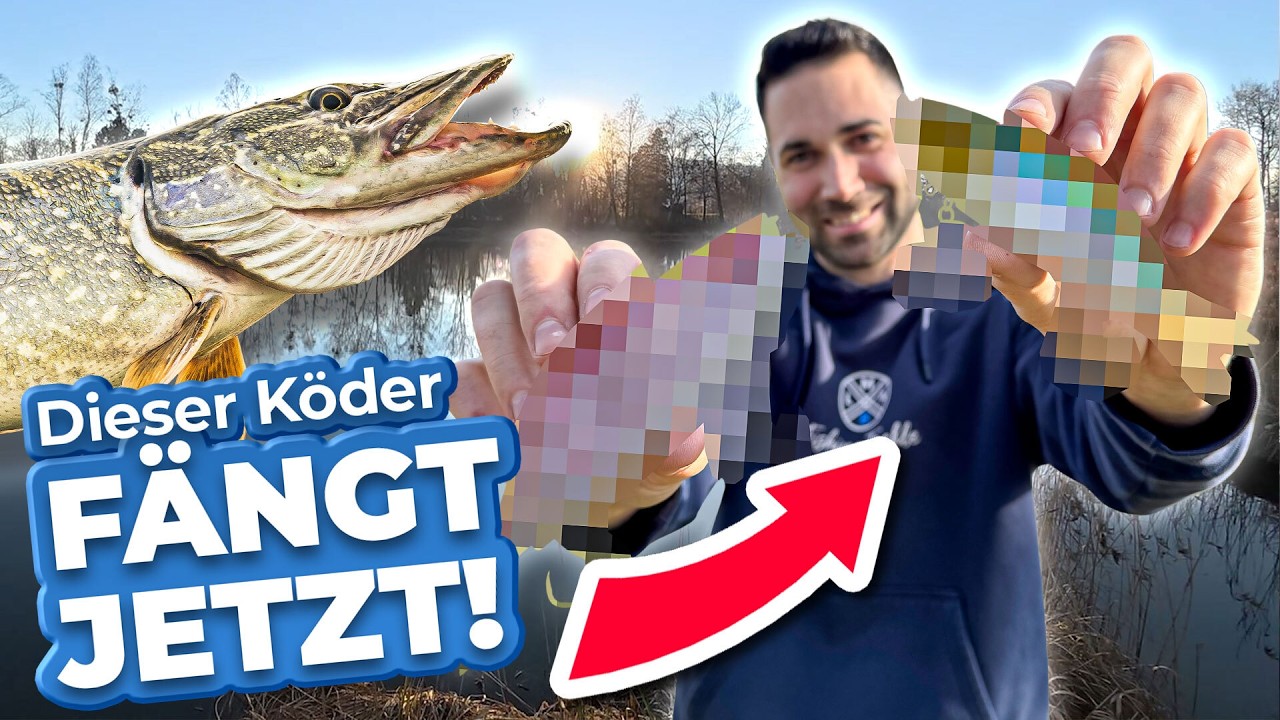 Mit diesem K&ouml;der f&auml;ngst du jetzt garantiert Hechte - (es ist so einfach!🫢)