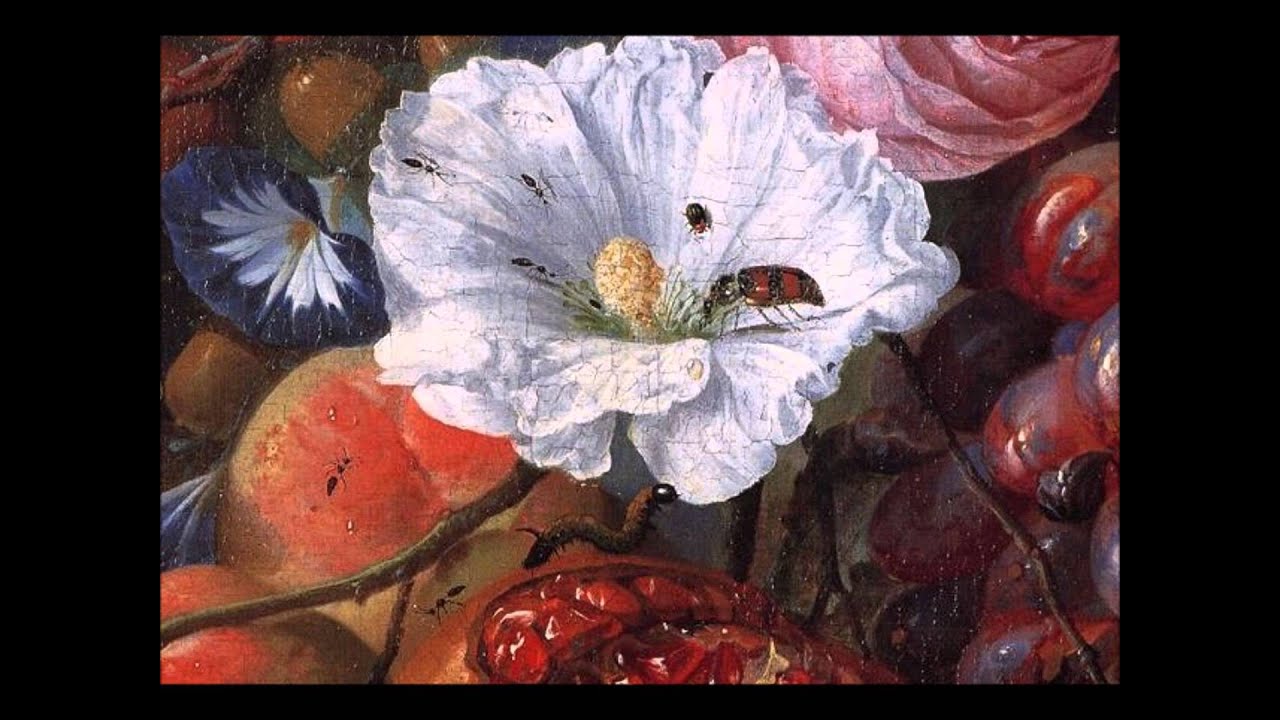 Mozart / Divertimento in F major, K. 138
