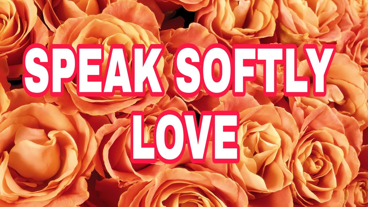 SPEAK SOFTLY LOVE - Andy Williams KARAOKE🎤🎶