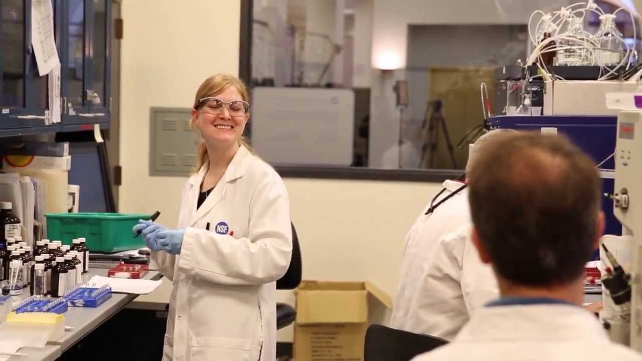 Why come to work at NSF International?