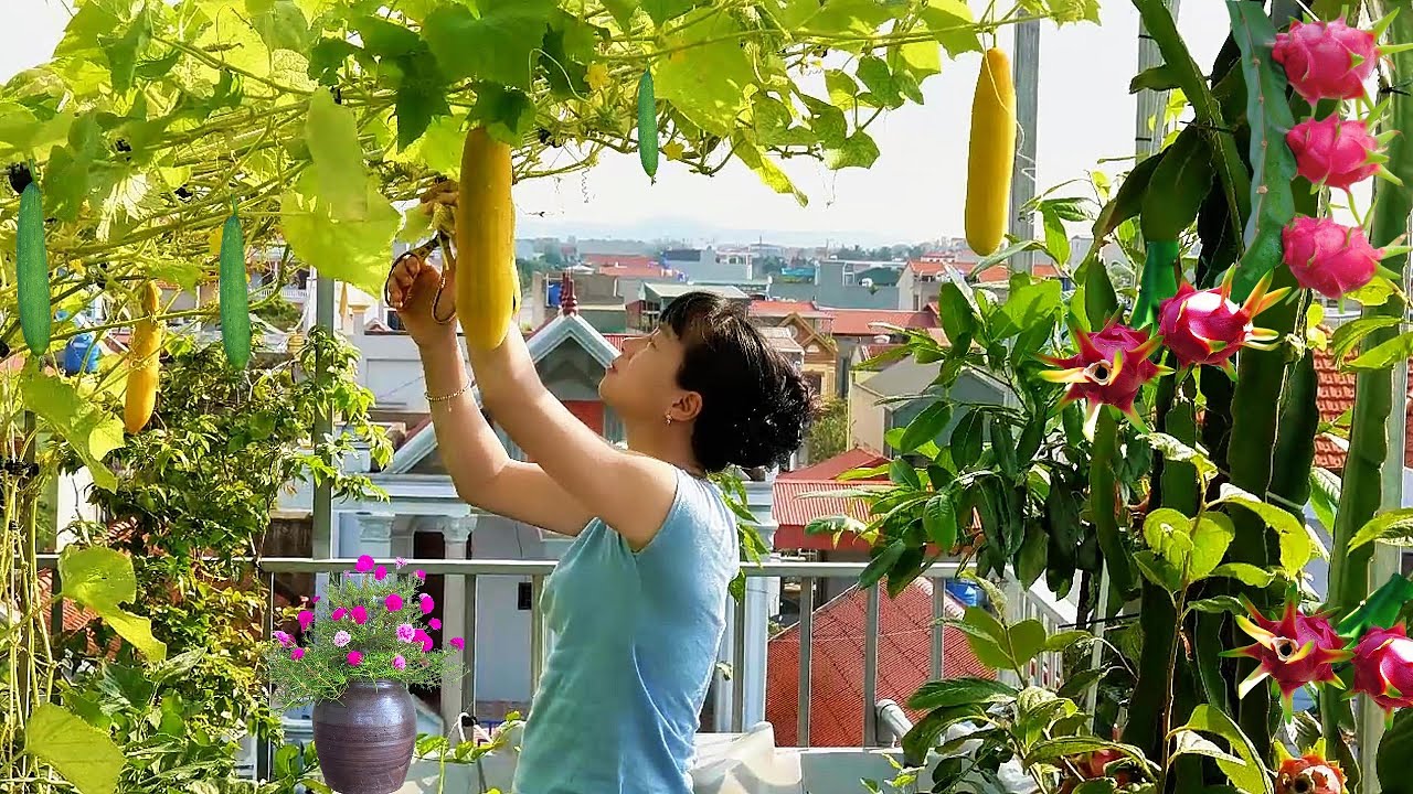 Изменение климата: от городских садов до деревень | Ловля рыбы в пересохшем русле реки