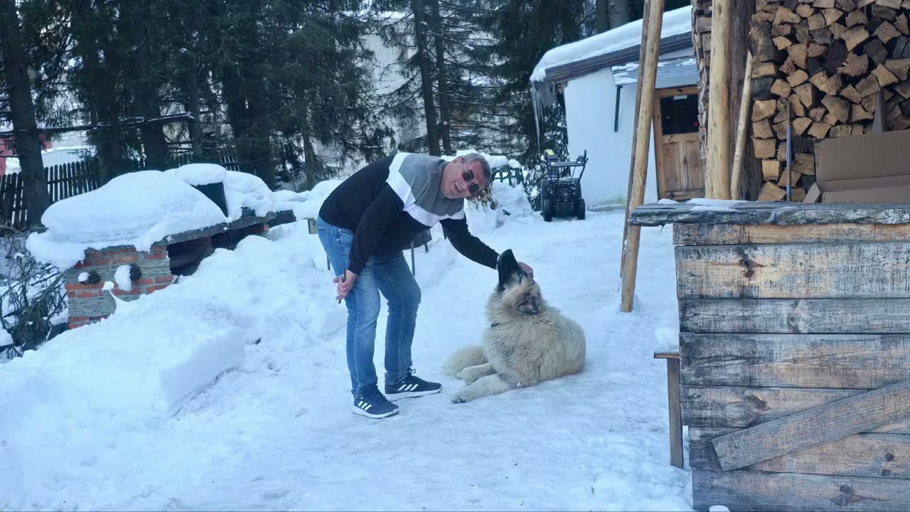 Drum de la Voineasa spre Obârșia Lotrului (DN7 A)