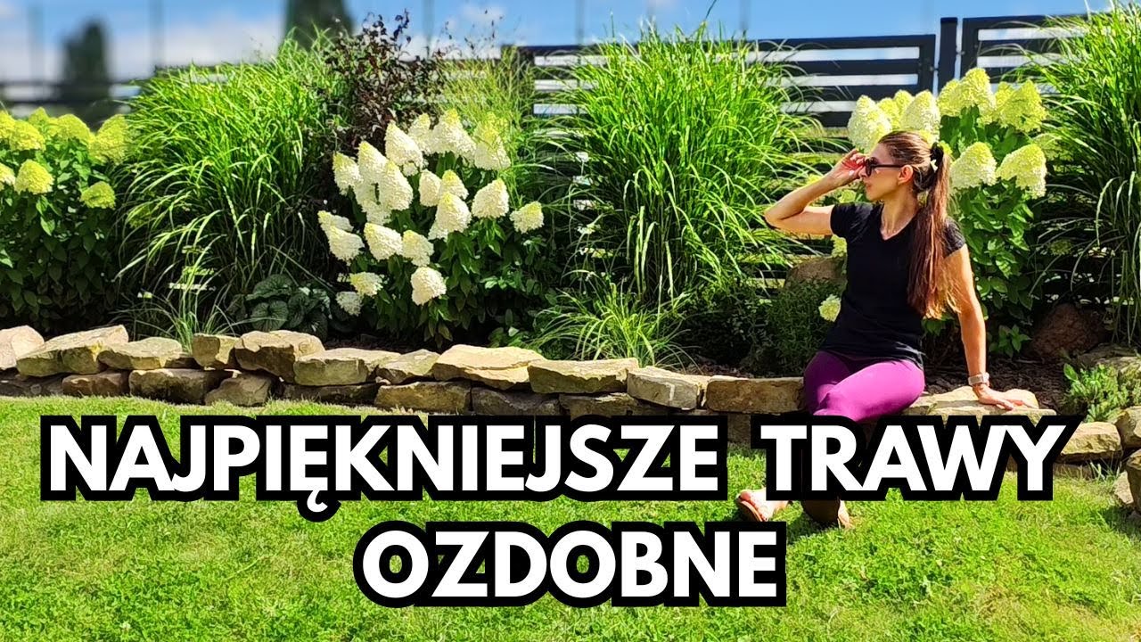 Trawy ozdobne- najlepsze w moim ogrodzie 🌾 +10 sprawdzonych odmian i ich zestawienia
