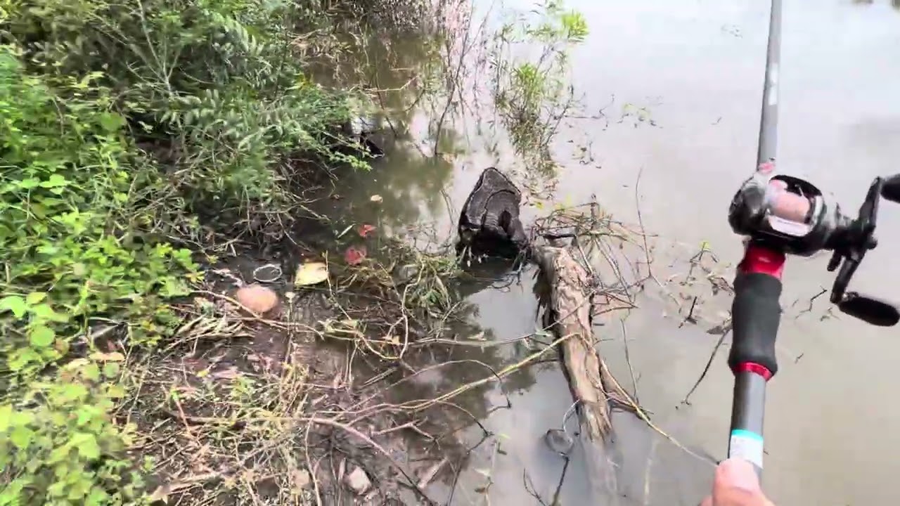 ចូលហើយ
