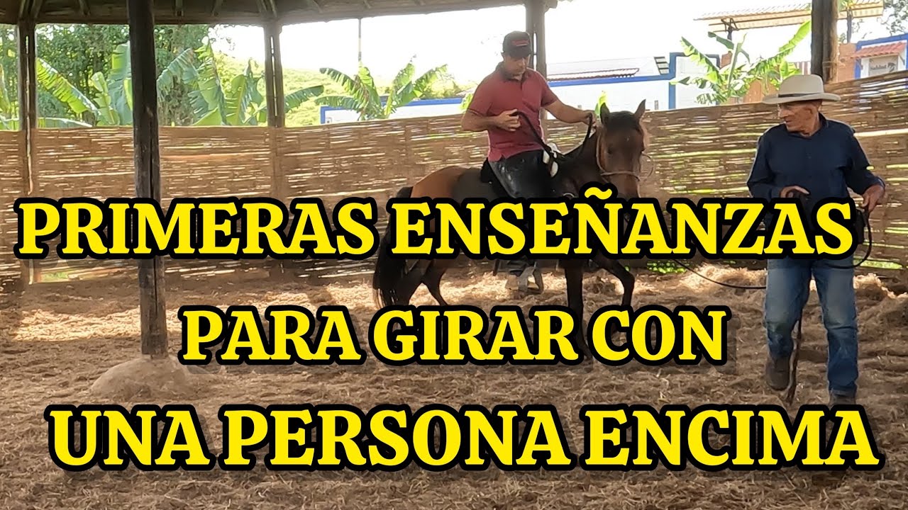 SEXTA ENTRENADA DEL POTRO primeras giradas con una persona encima