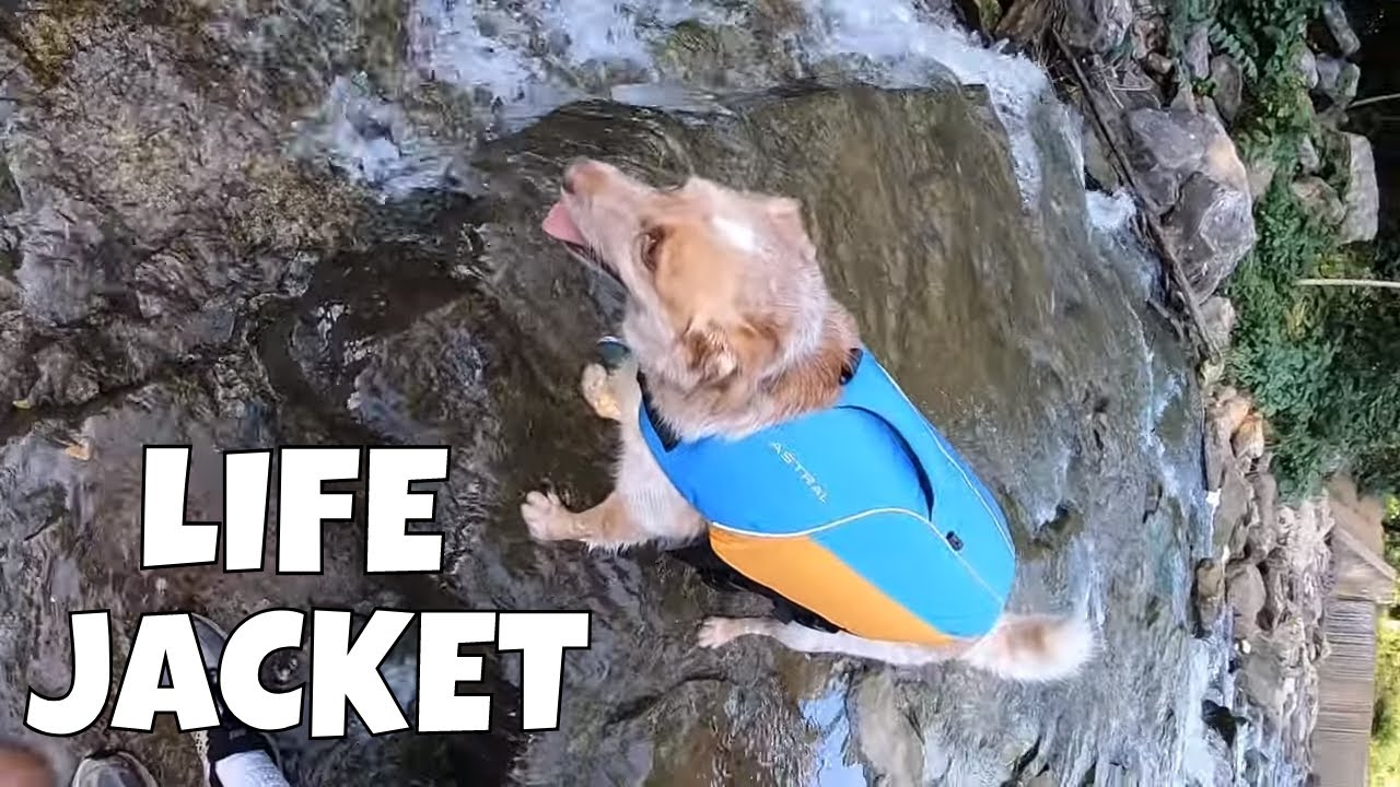 Aqua Pooch!!