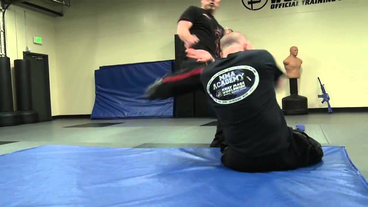 Deadly wheelchair self-defence!