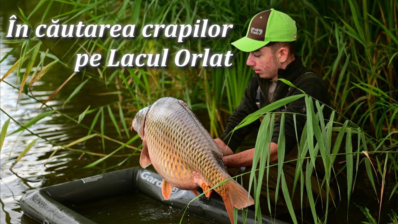 În căutarea crapilor pe Lacul Orlat