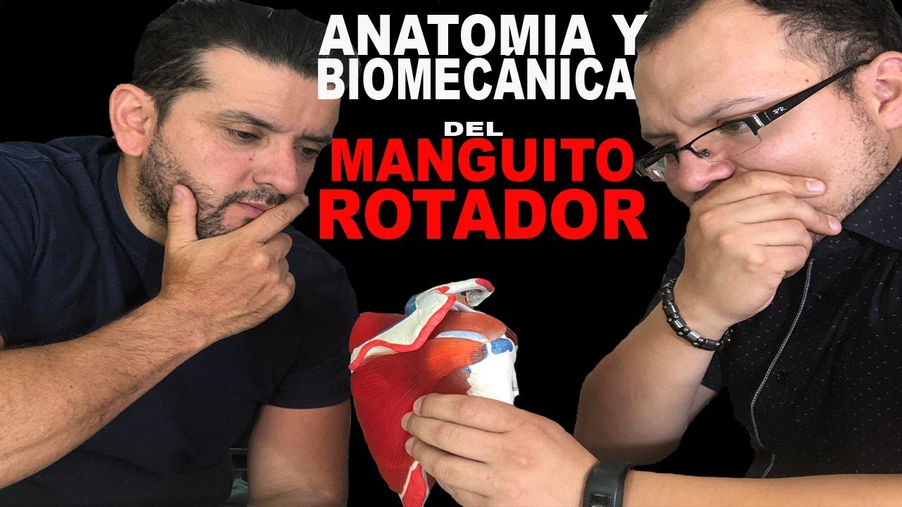 MANGUITO ROTADOR - ANÁLISIS BIOMECÁNICO Y ANATÓMICO