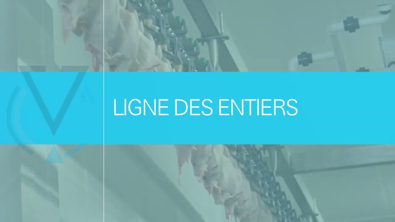 LIGNE DES ENTIERS ( Groupe PE / divergeur / palbox) - #agroalimentaire