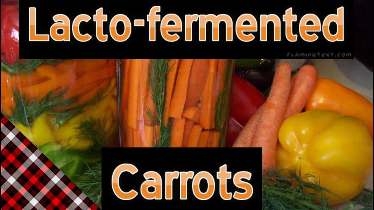 Lacto-fermented Carrots (Easy)
