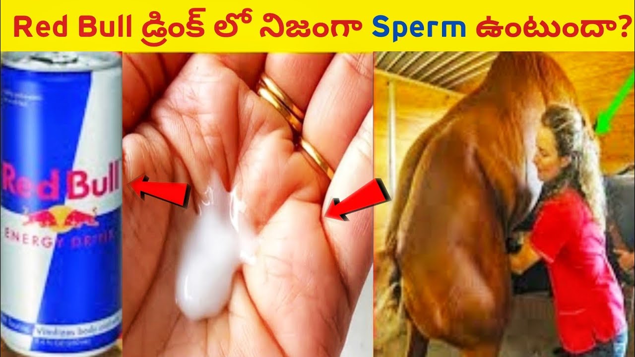 Red Bull Energy Drink ఎలా తయారుచేస్తారు | How Red Bull is Made in Factory