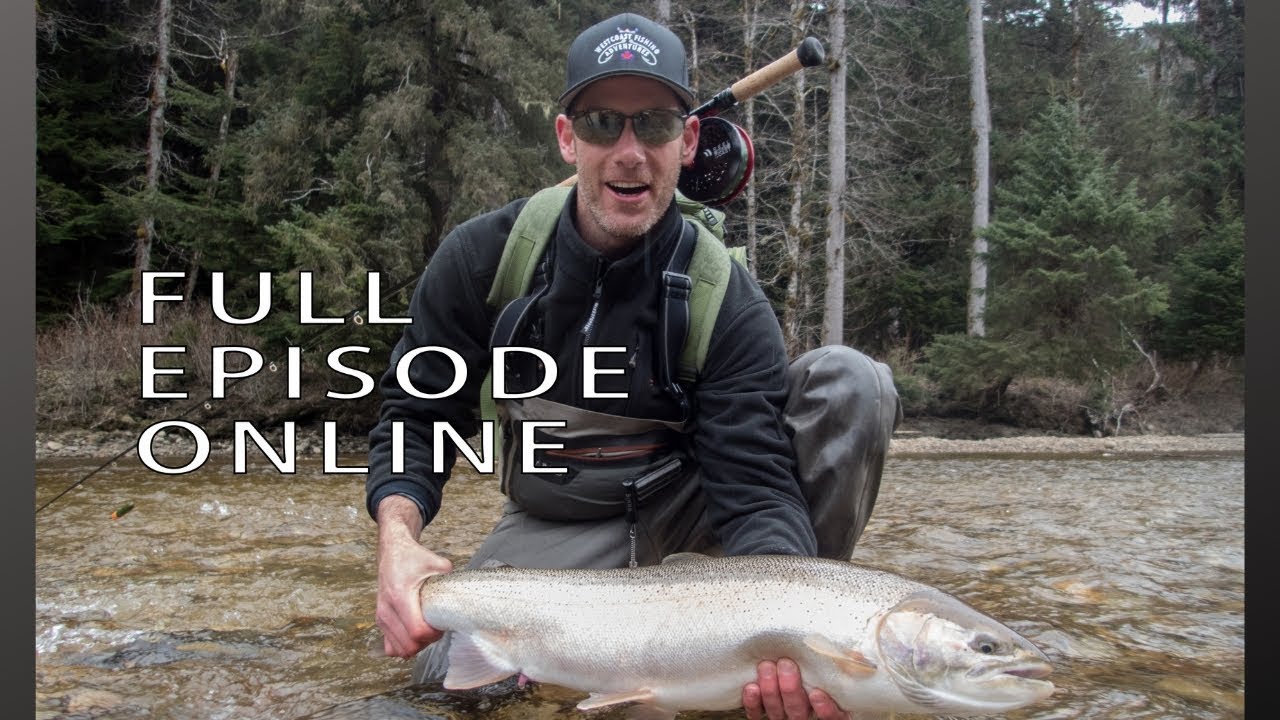 Terrace Spring Steelhead