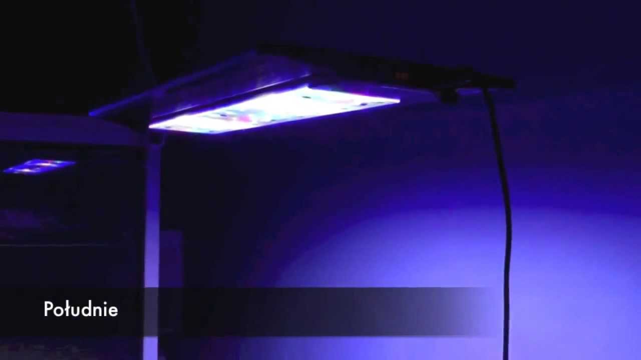 Lampa Led 200W do akwarium morskiego www.aadg.pl 695 80 70 66