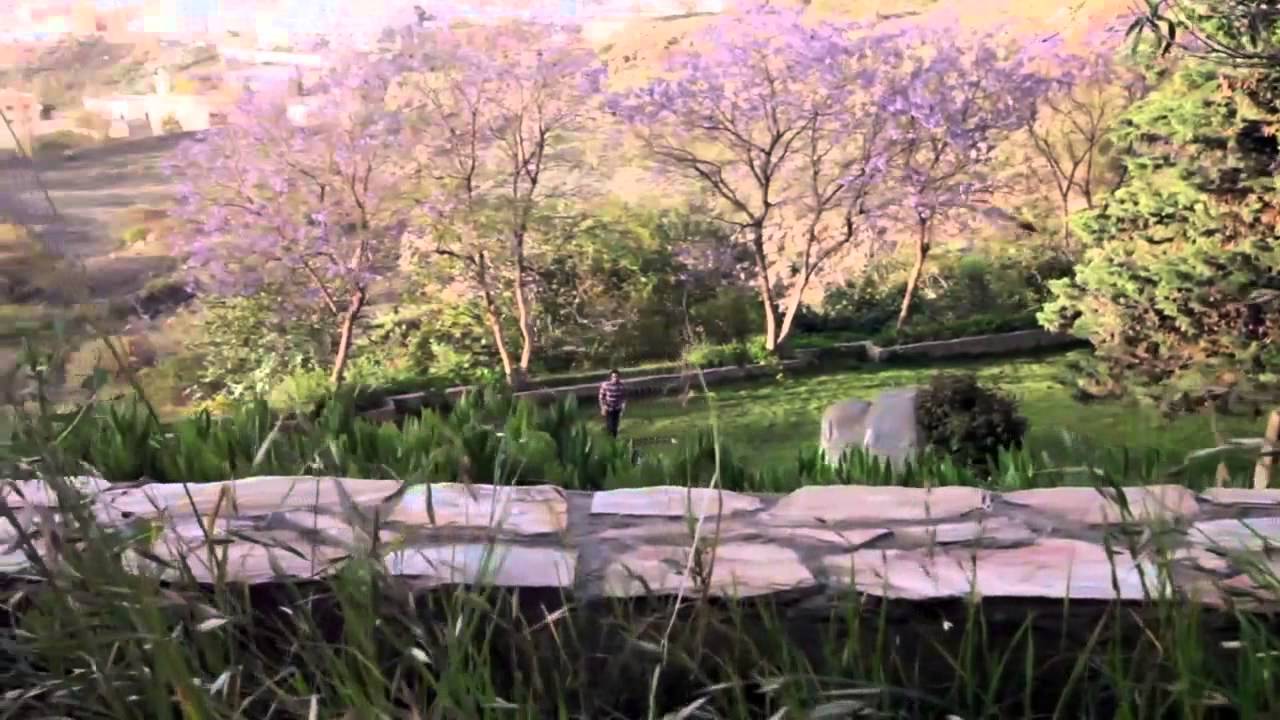 كليب : رقي إنسان .. إنشاد : أسامة السلمان