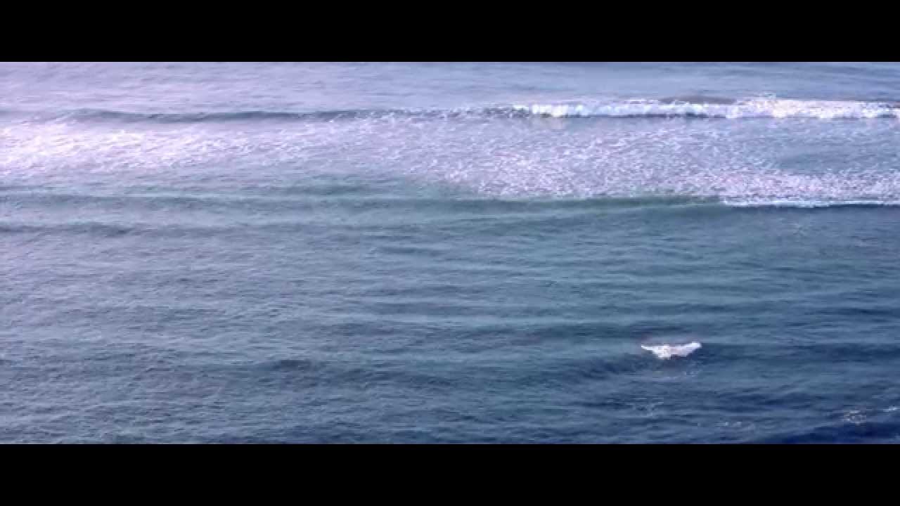 Japanese Wallpaper - Between Friends (Ft. Jesse Davidson) [Official Video]