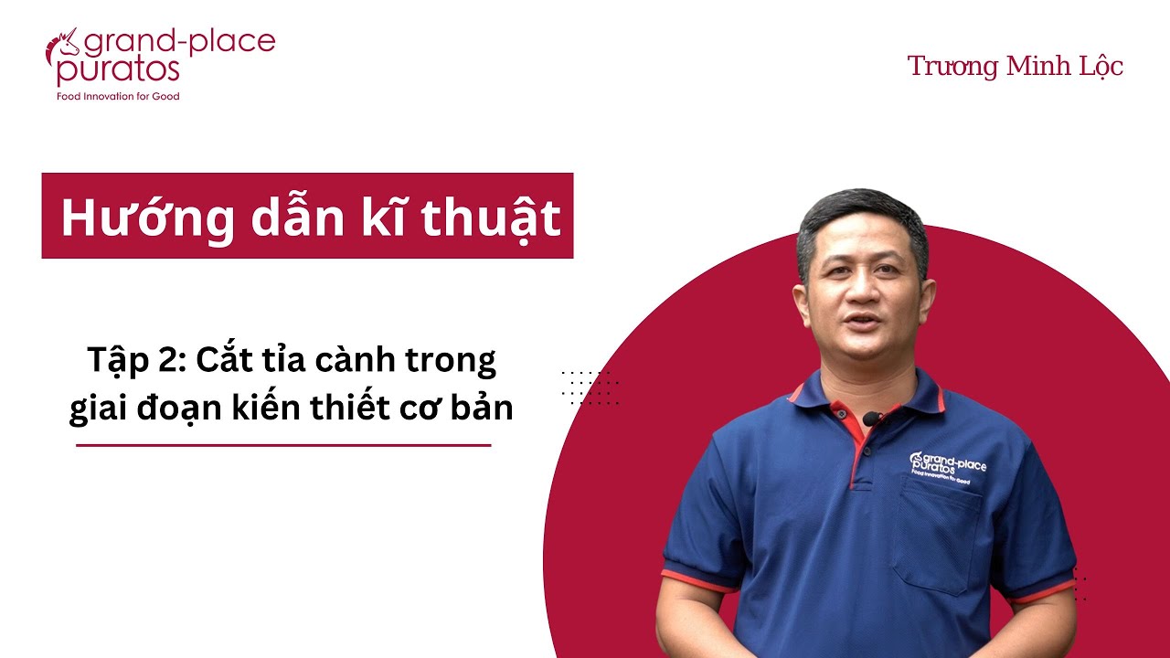 [Hướng dẫn kĩ thuật] - Tập 2: Cắt tỉa cành trong giai đoạn kiến thiết cơ bản