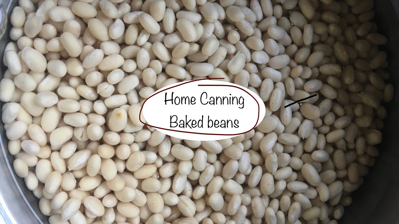 Landfall Larder UK Safe Pressure Canning Baked Beans like Heinz In Weck Jars UK