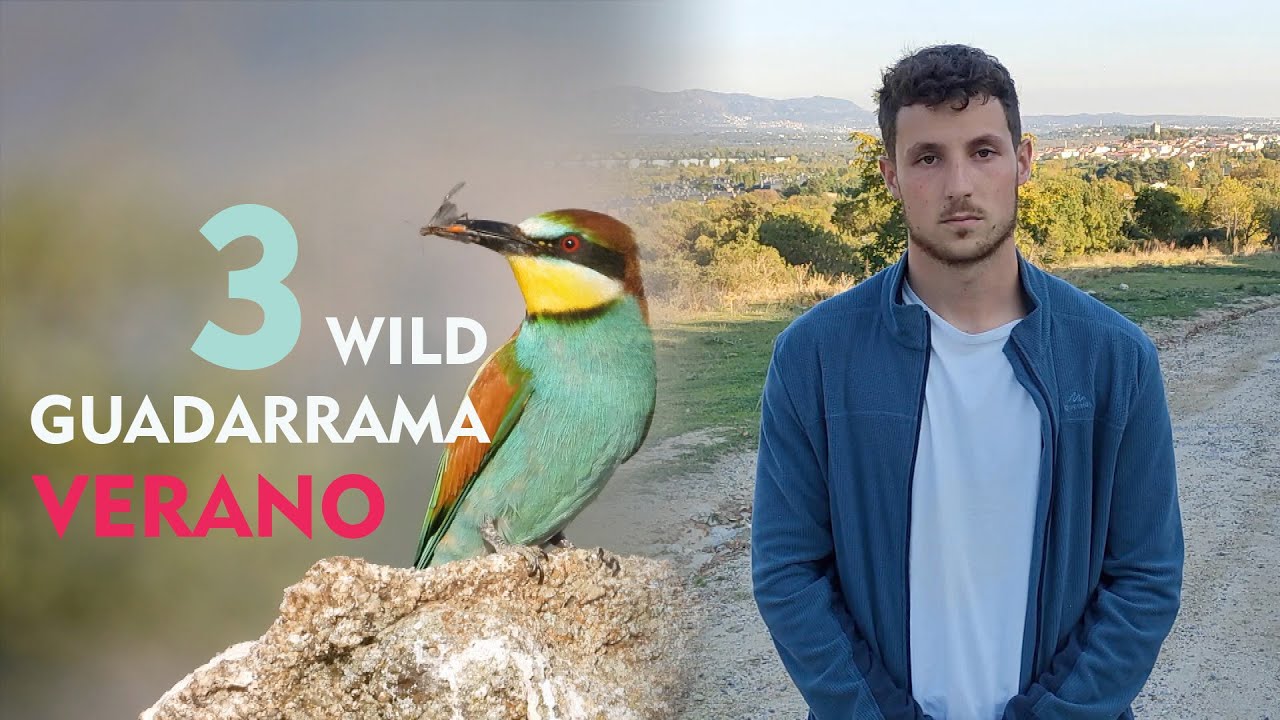 WILD GUADARRAMA - VERANO (Vídeo/documental original)