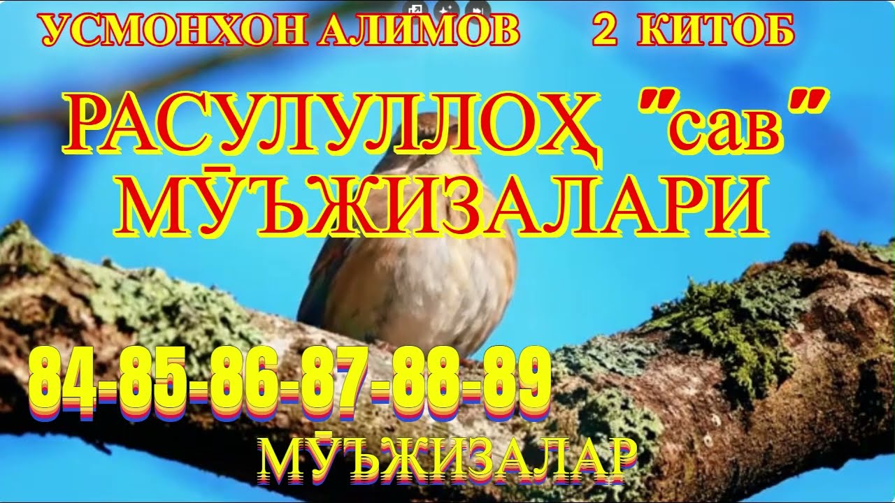 УСМОНХОН АЛИМОВ. РАСУЛУЛЛОҲ (сав) МӮЪЖИЗАЛАРИ.84 - 85 - 86 - 87 - 88 - 89 МӮЪЖИЗАЛАР.