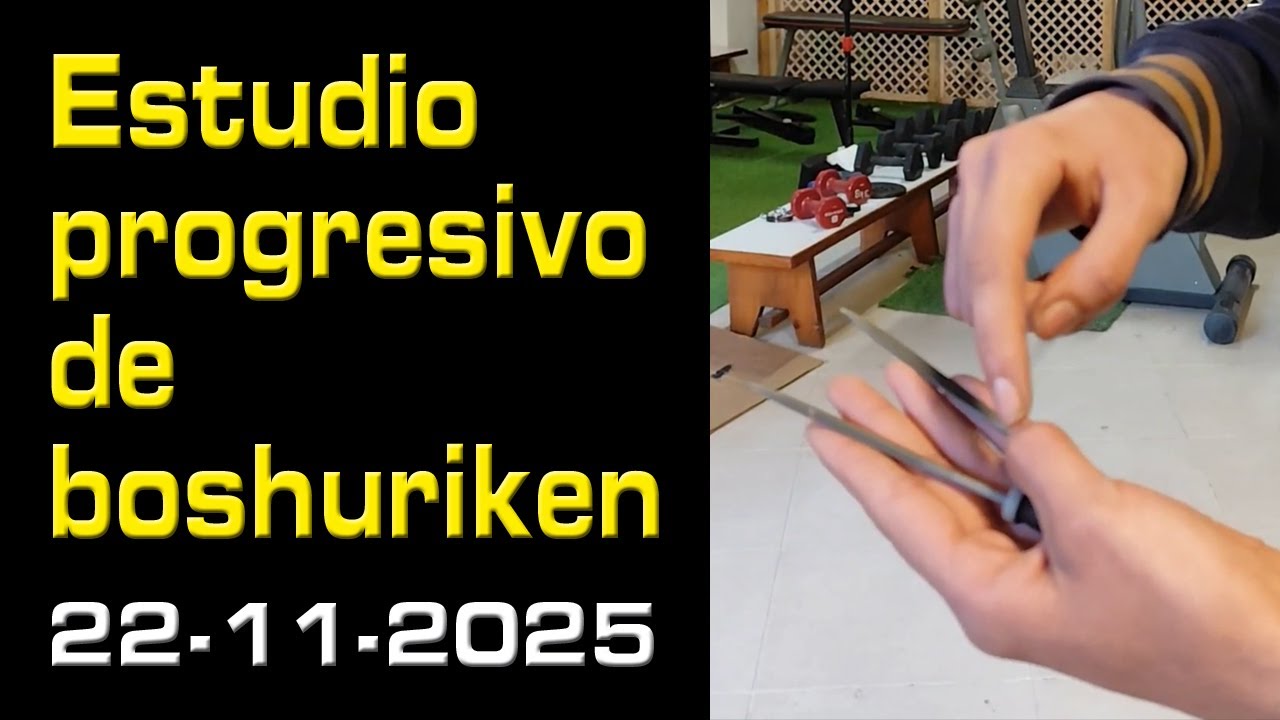 Estudio progresivo de boshuriken #martialarts #artesmarciales #shurikenjutsu #kunaiknife #aikido