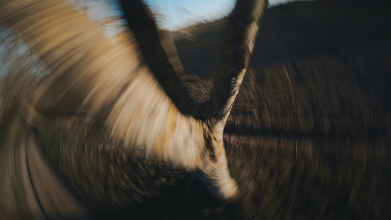 Juicy Jan | FPV Freestyle