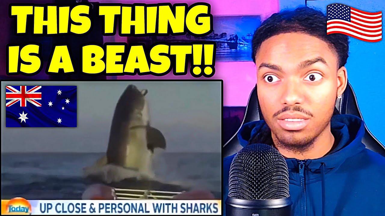 Aussie Life Is WILD! 😳 AMERICAN REACTS to ONLY IN AUSTRALIA compilations